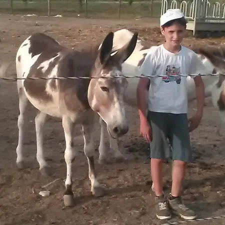 All'antica Ruggine בית חווה