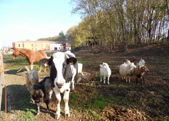 All'antica Ruggine Alseno