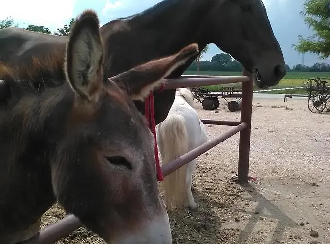 בית חווה All'antica Ruggine Alseno