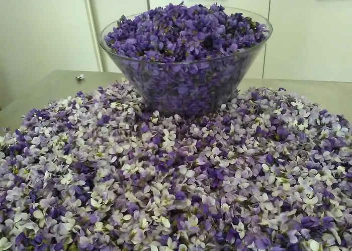 All'antica Ruggine בית חווה