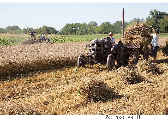 All'antica Ruggine בית חווה Alseno