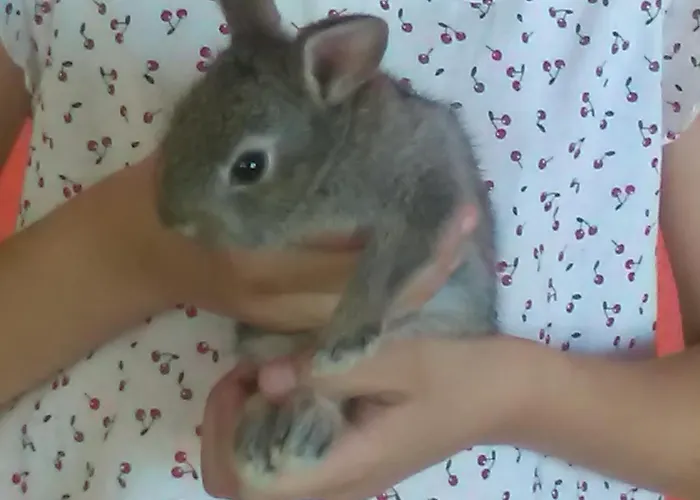 All'antica Ruggine בית חווה Alseno