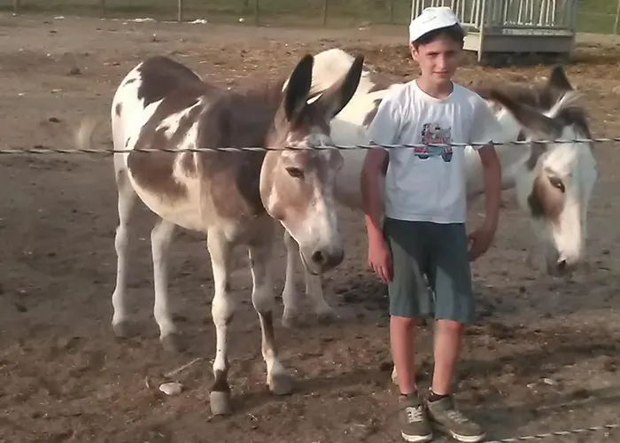 All'antica Ruggine בית חווה