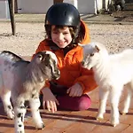 All'antica Ruggine Alseno