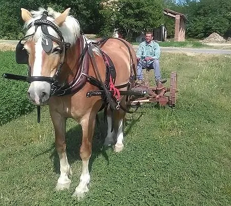 All'antica Ruggine Alseno