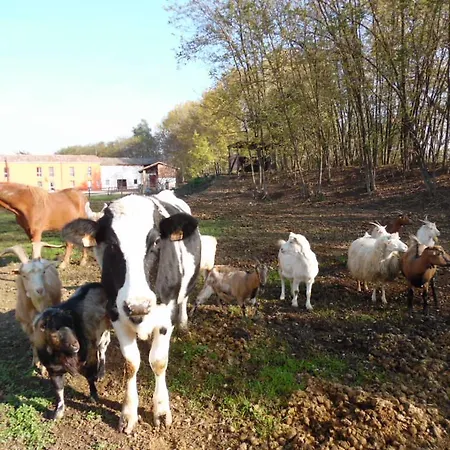 All'antica Ruggine Alseno