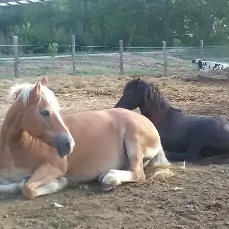 All'antica Ruggine *