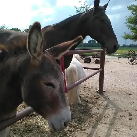 Alojamento de Turismo Rural All'antica Ruggine Alseno