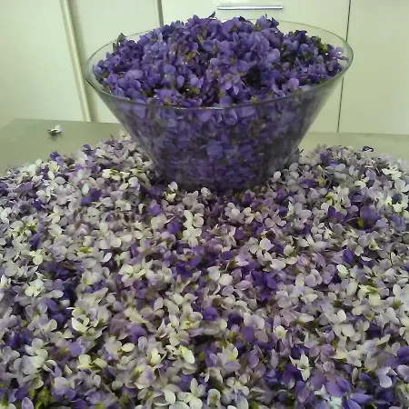 All'antica Ruggine Alojamento de Turismo Rural