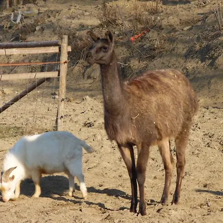All'antica Ruggine Alojamento de Turismo Rural *