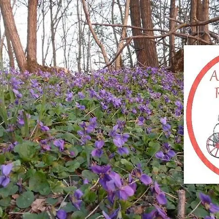 All'antica Ruggine Alojamento de Turismo Rural Alseno