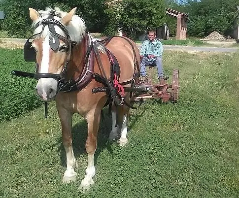 All'antica Ruggine Alseno