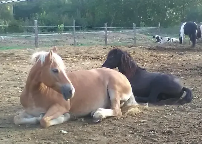 All'antica Ruggine *