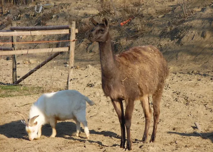 All'antica Ruggine Фермерский дом *