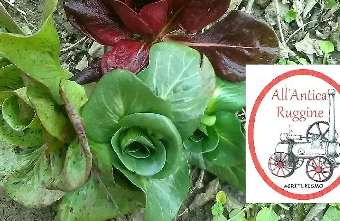 All'antica Ruggine Alseno