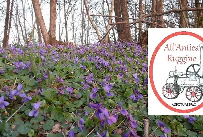 All'antica Ruggine Фермерский дом Alseno