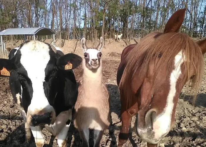 All'antica Ruggine *