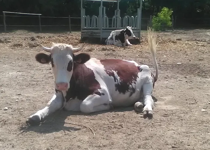 All'antica Ruggine * Alseno