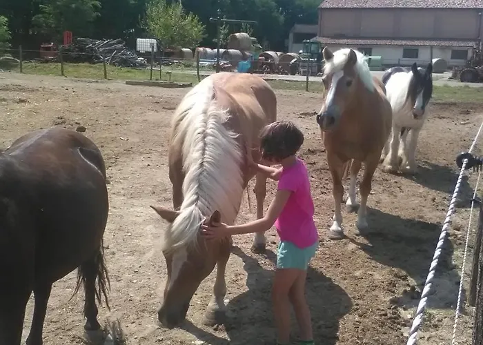 All'antica Ruggine Фермерский дом